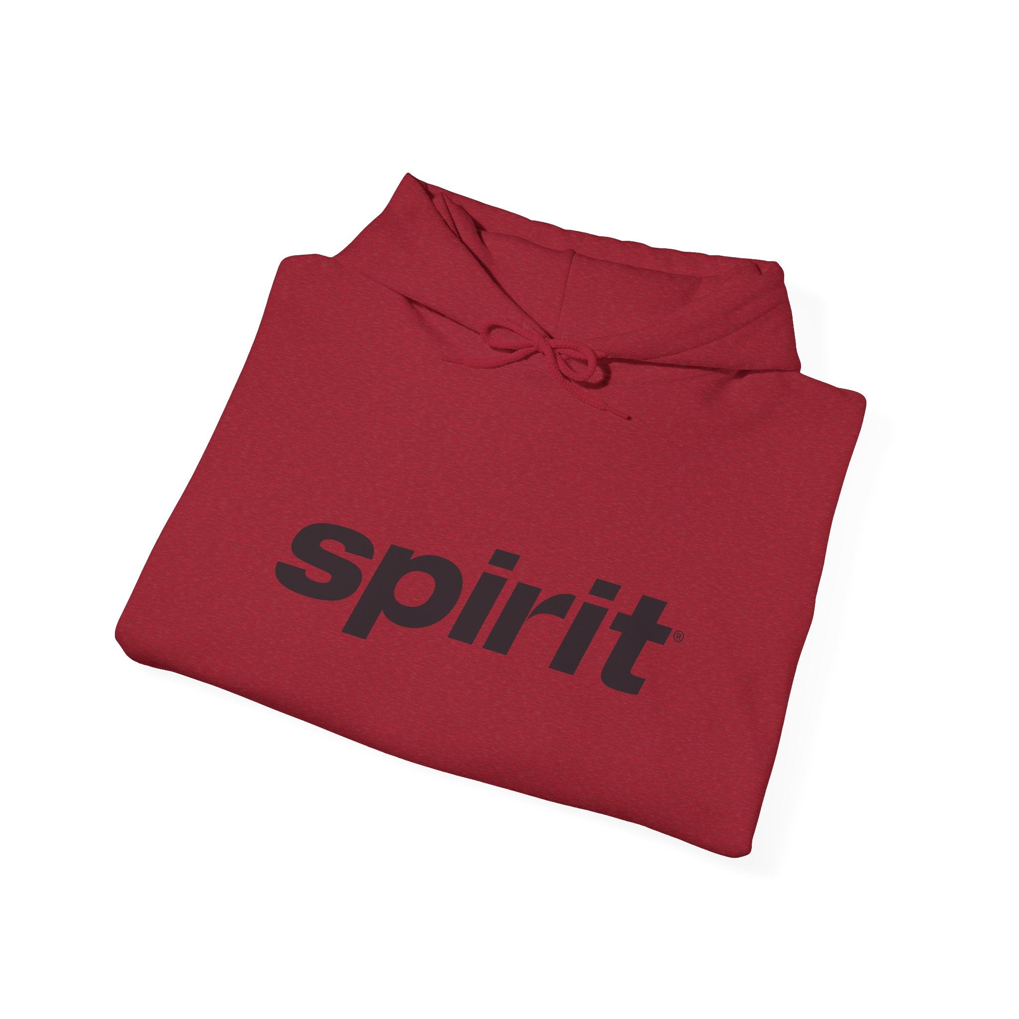 Spirit Airlines Hoodie / Sweatshirt