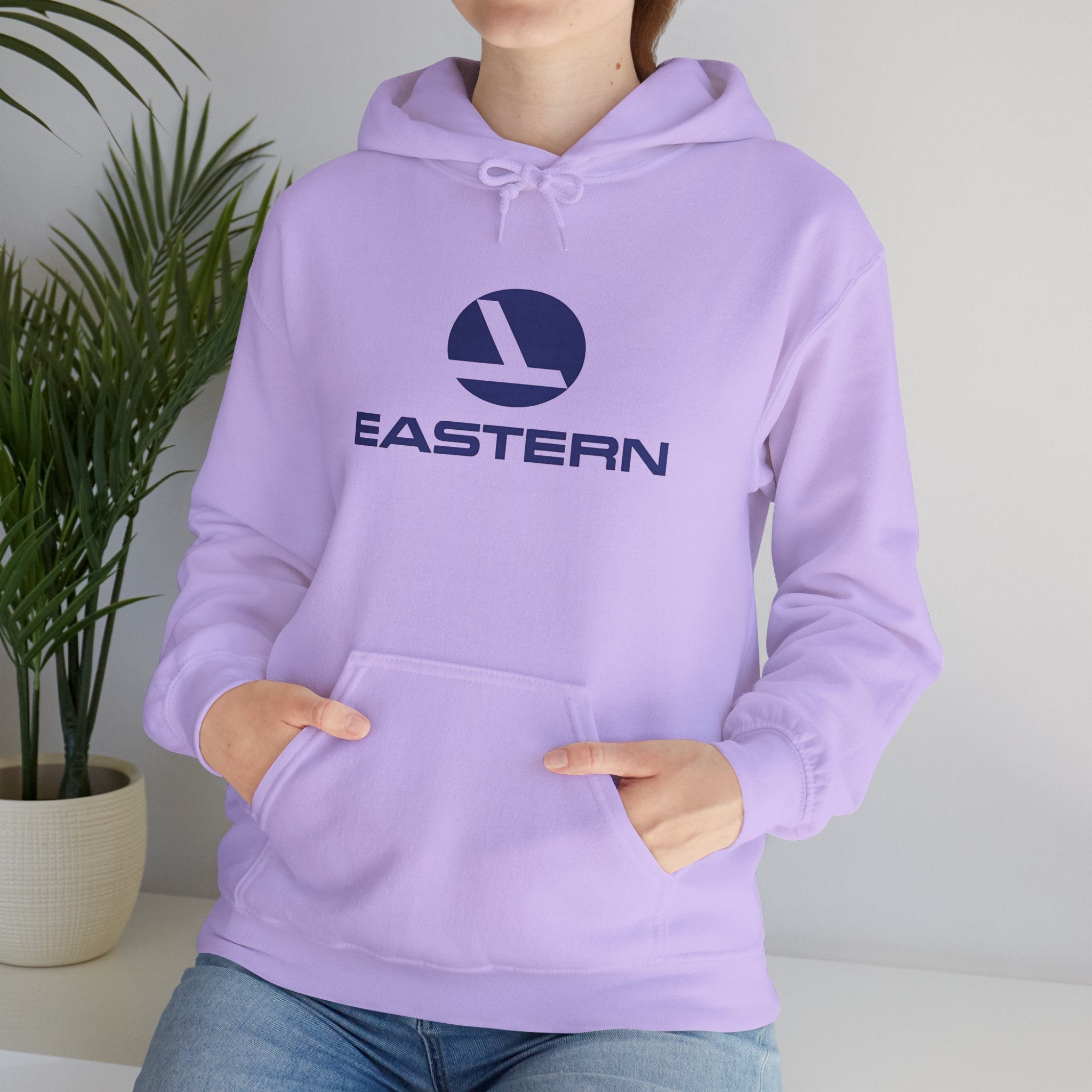 Eastern Air Lines Hoodie / Sweatshirt