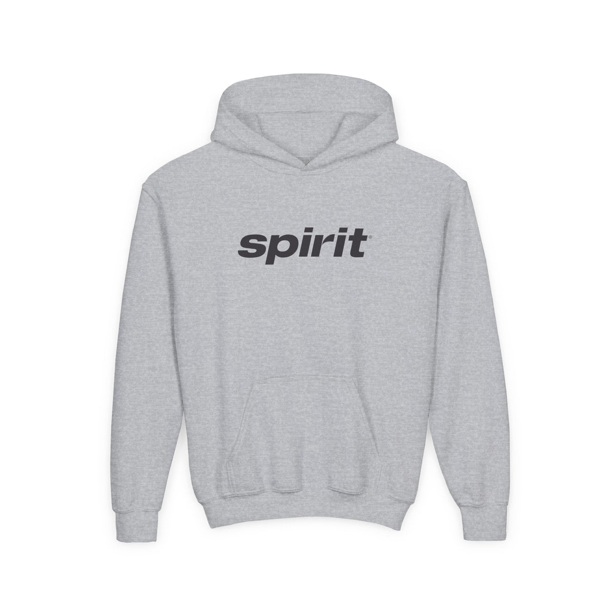 Spirit Airlines Youth Hoodie / Swaetshirt