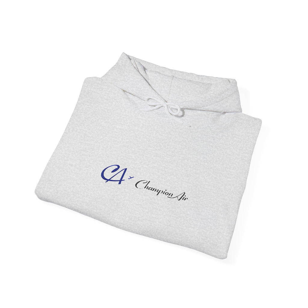 Champion Air Hoodie / Sweatshirt
