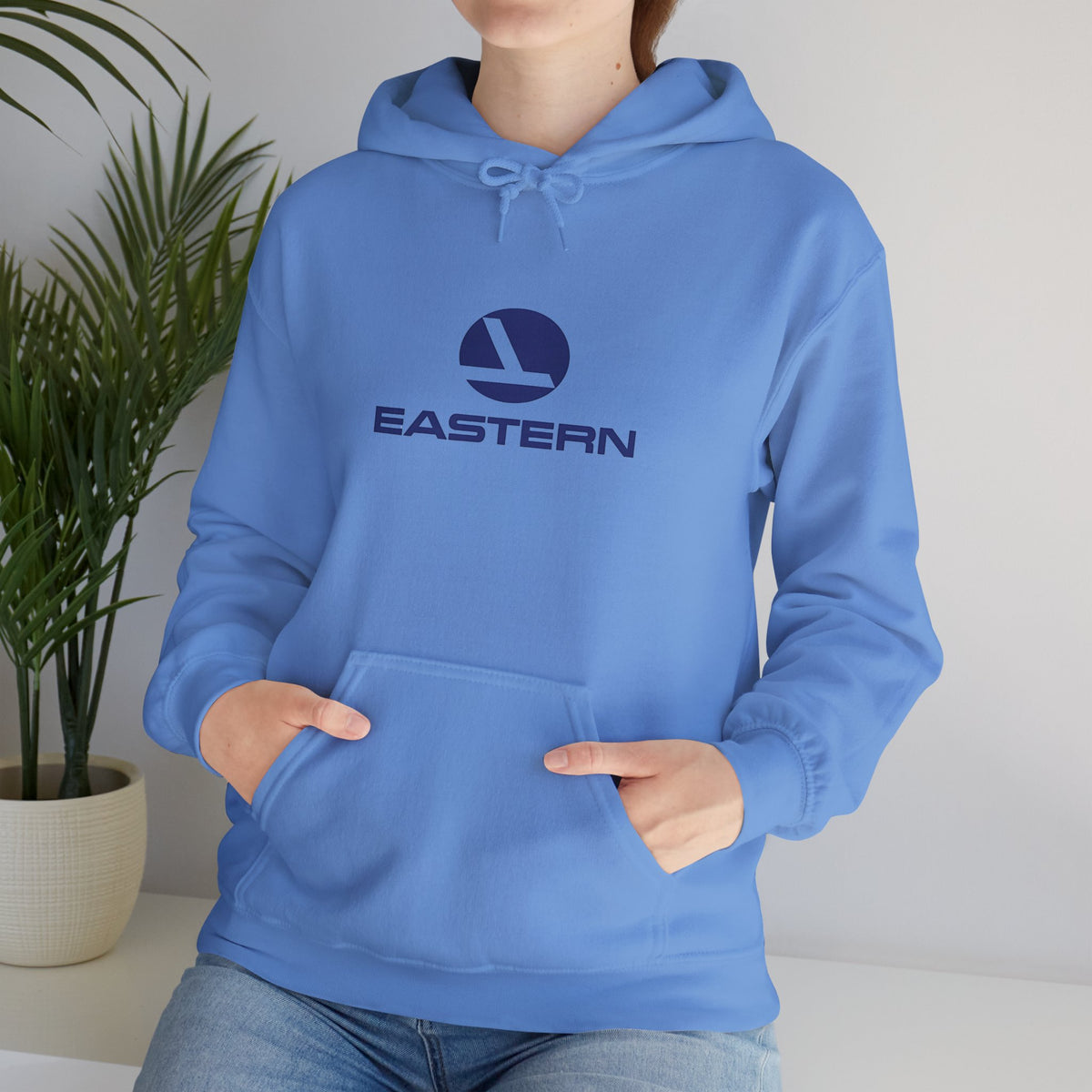 Eastern Air Lines Hoodie / Sweatshirt