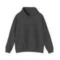 National Airlines (1999-2002) Hoodie / Sweatshirt