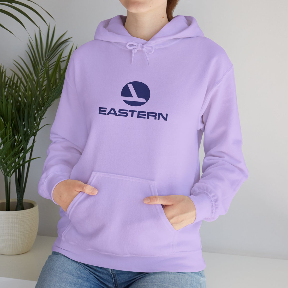 Eastern Air Lines Hoodie / Sweatshirt