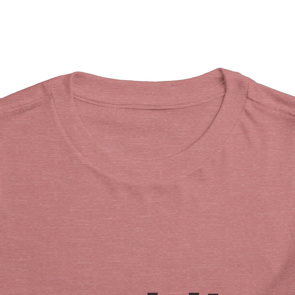 Spirit Airlines Toddler Tee / T-Shirt
