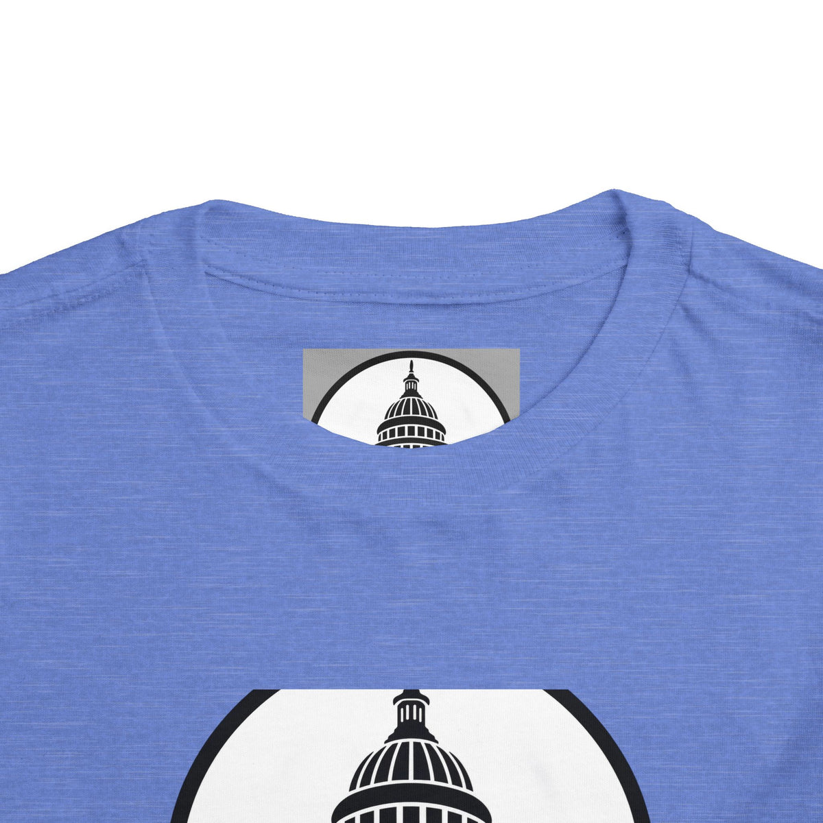 Baltimore and Ohio Railroad Toddler Tee / T-Shirt