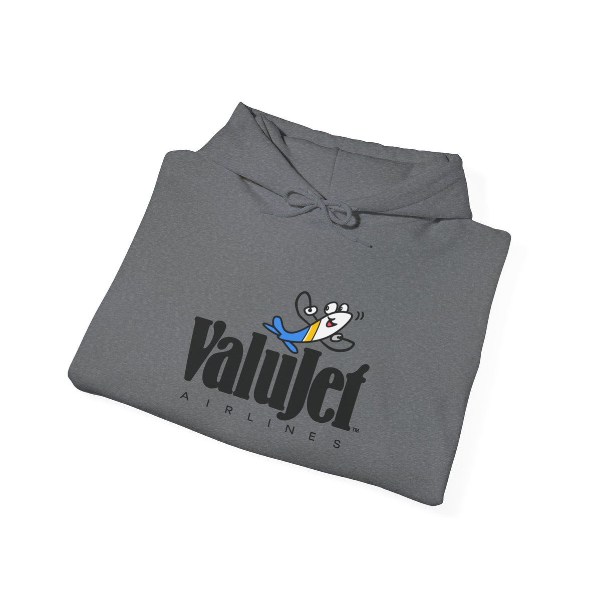 ValuJet Airlines Hoodie / Sweatshirt