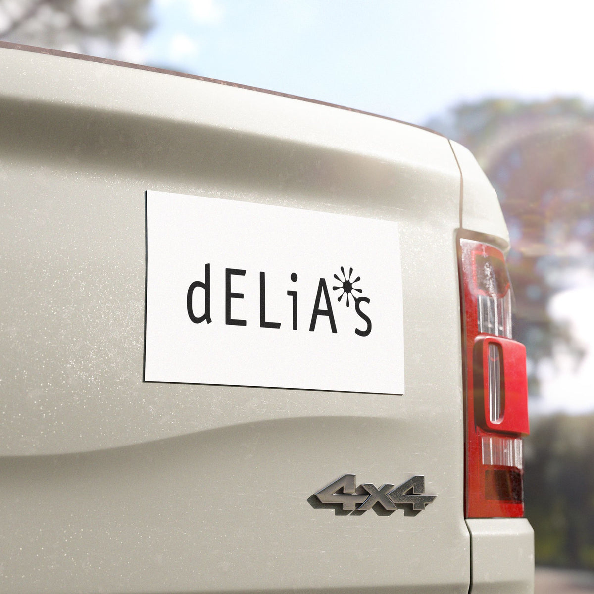 Delia's Car Magnet