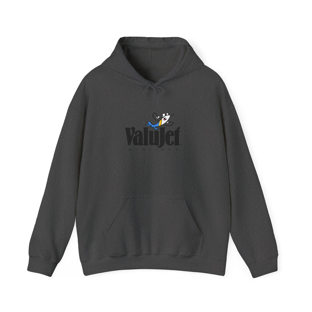 ValuJet Airlines Hoodie / Sweatshirt