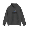 ValuJet Airlines Hoodie / Sweatshirt
