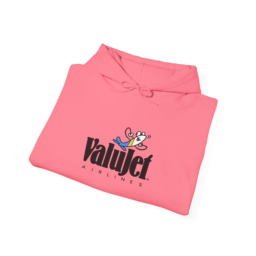 ValuJet Airlines Hoodie / Sweatshirt