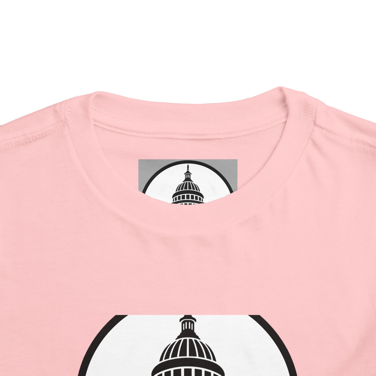 Baltimore and Ohio Railroad Toddler Tee / T-Shirt