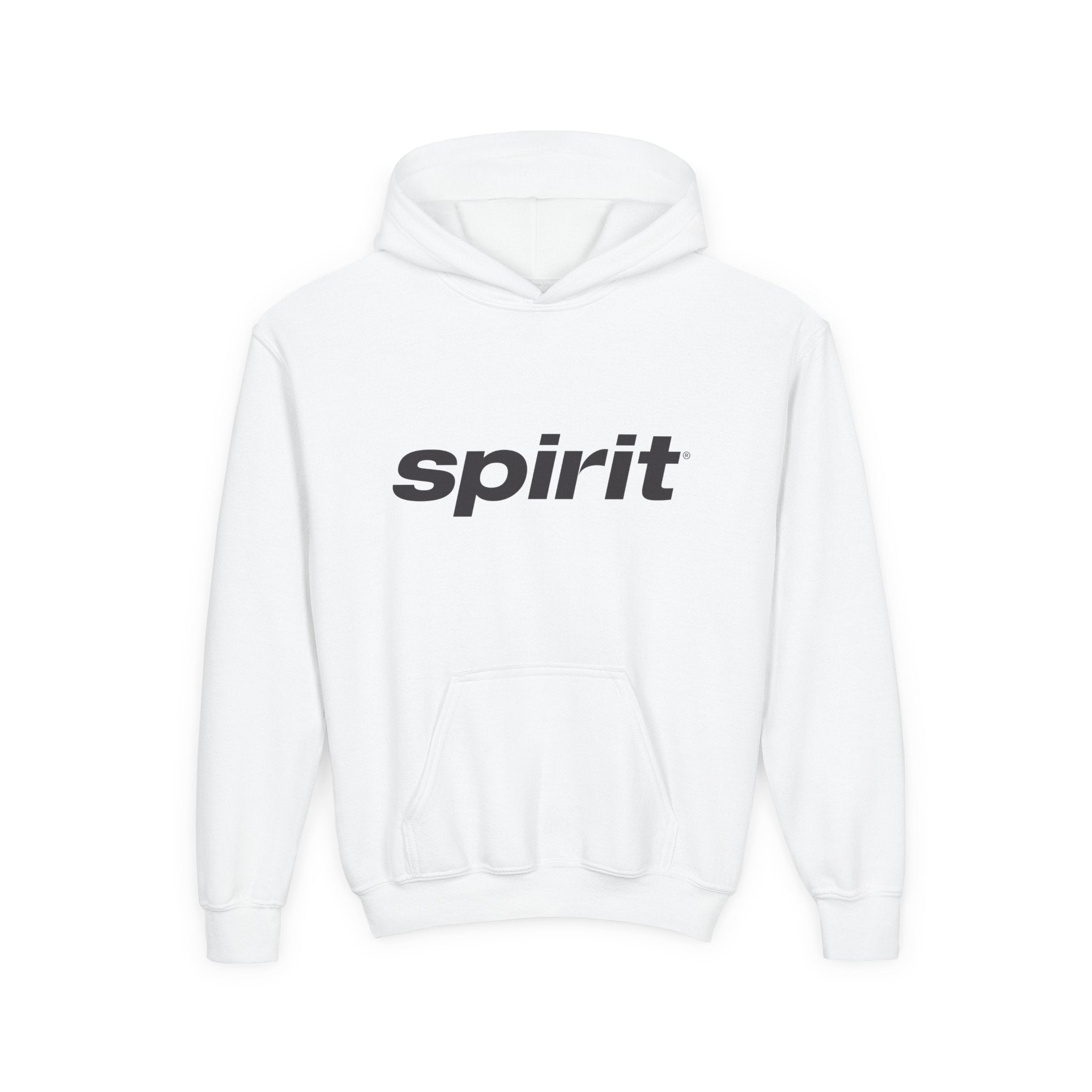 Spirit Airlines Youth Hoodie / Swaetshirt