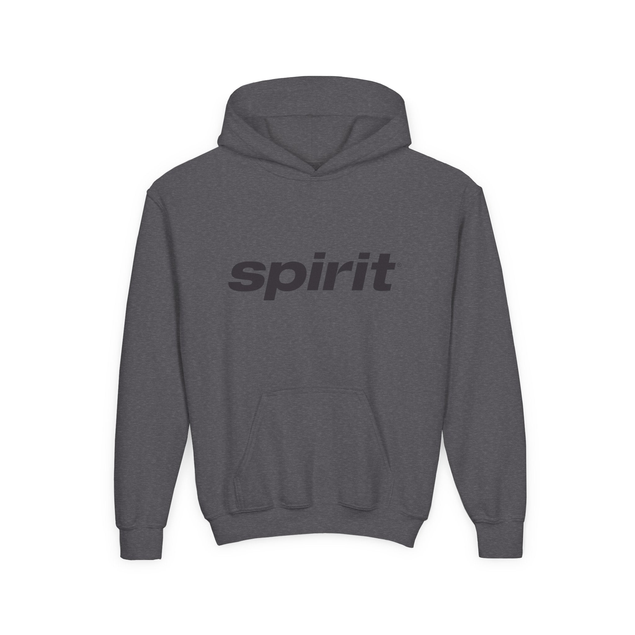 Spirit Airlines Youth Hoodie / Swaetshirt