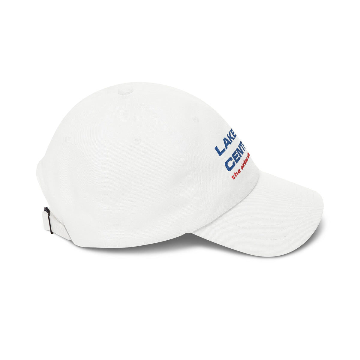Lake Central Airlines Embroidered Dad Cap Hat