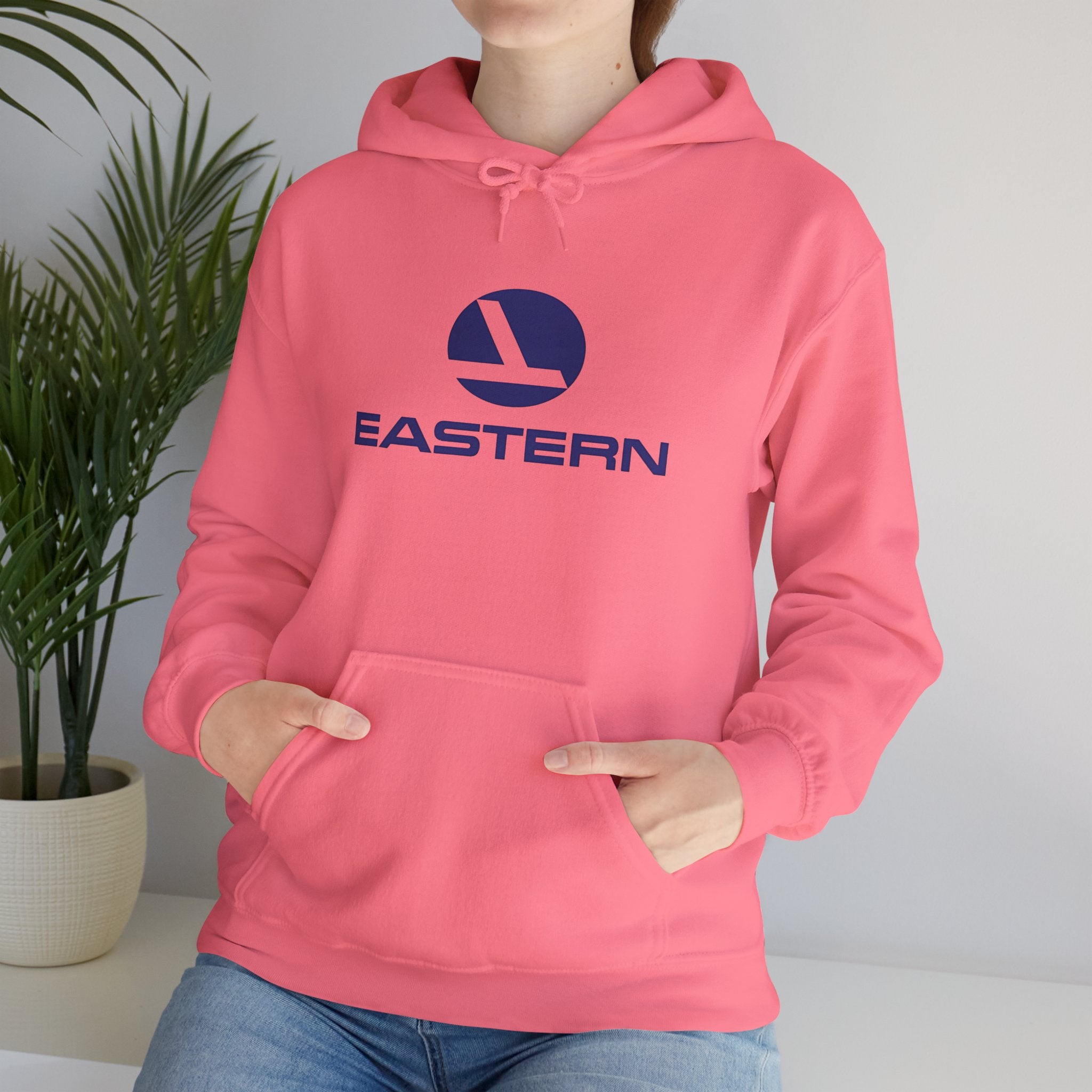 Eastern Air Lines Hoodie / Sweatshirt