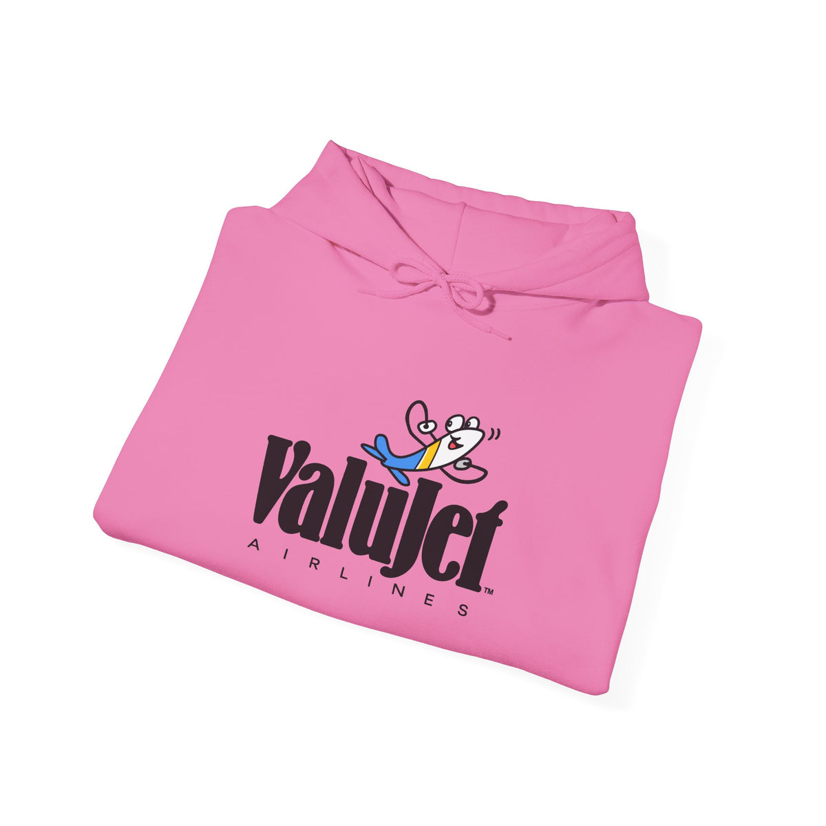 ValuJet Airlines Hoodie / Sweatshirt