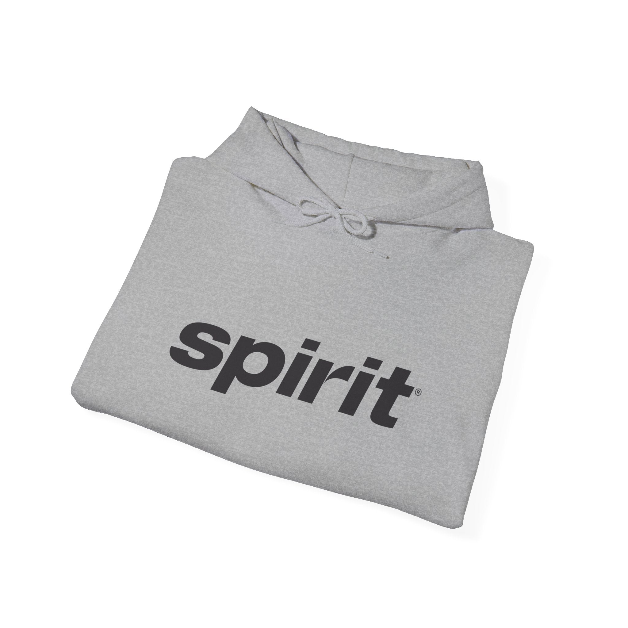 Spirit Airlines Hoodie / Sweatshirt