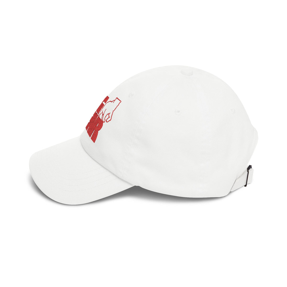 Big Bear Stores Embroidered Dad Cap Hat