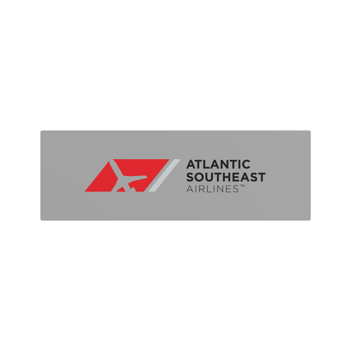 Atlantic Southeast Airlines Metal Sign