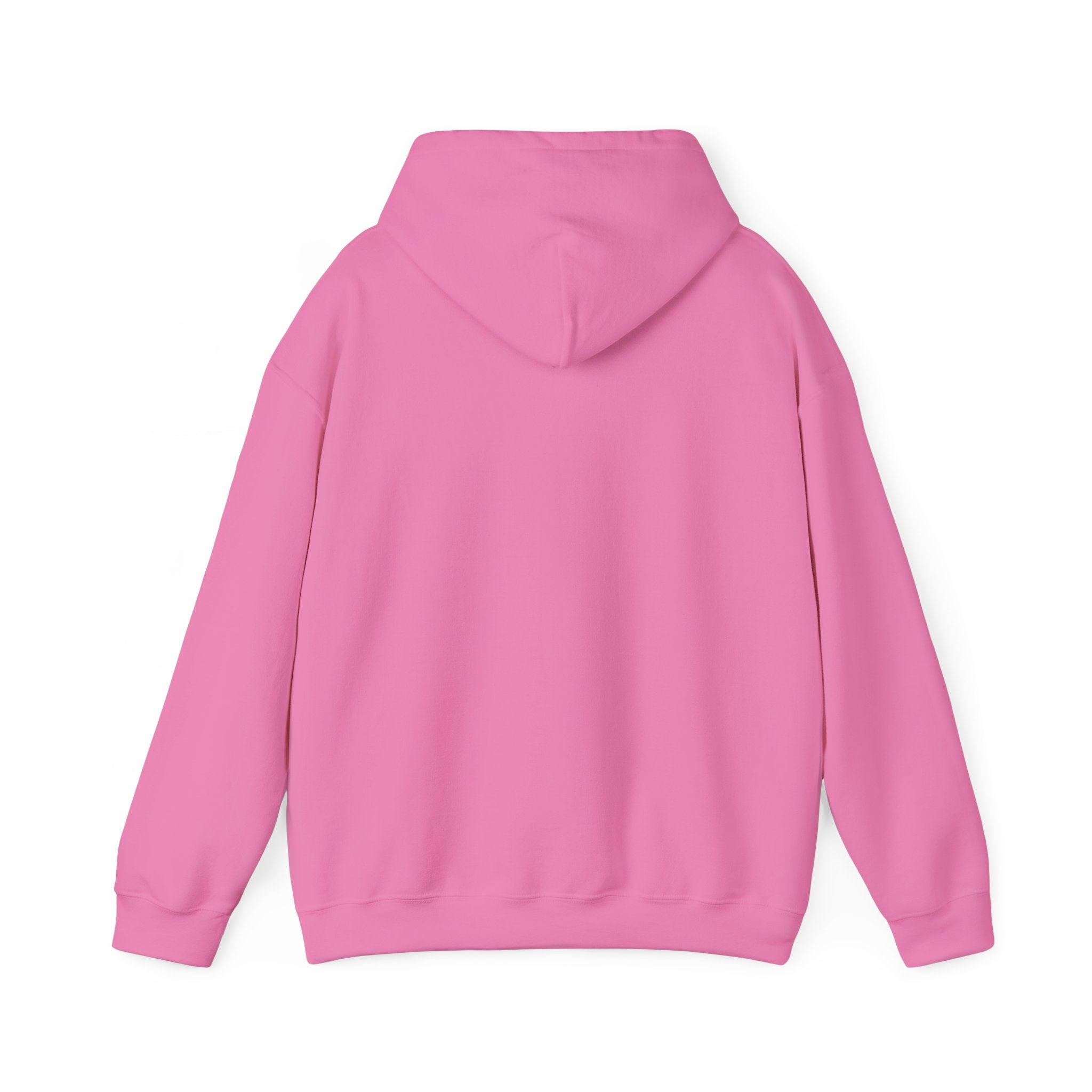 Northwestern Bell Hoodie / Sweatshirt