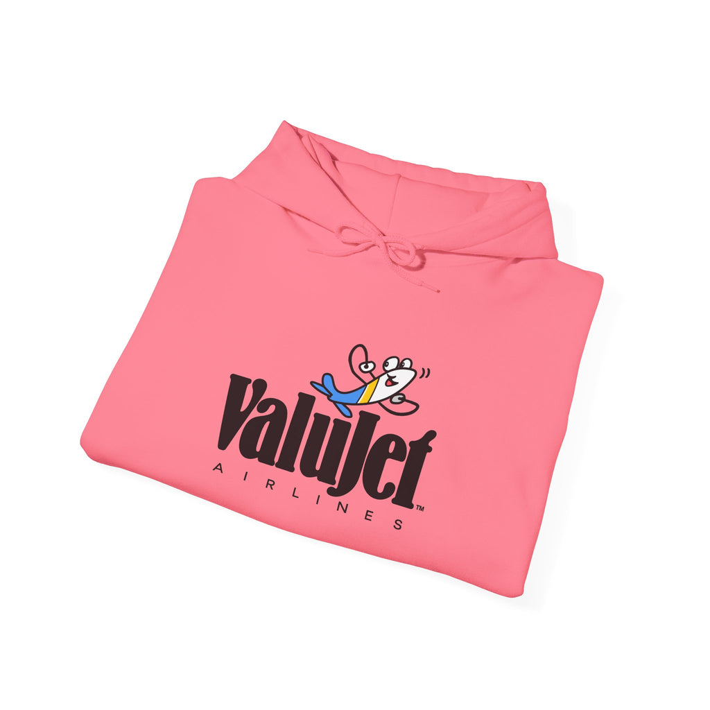 ValuJet Airlines Hoodie / Sweatshirt