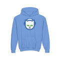 Napster Youth Hoodie / Sweatshirt