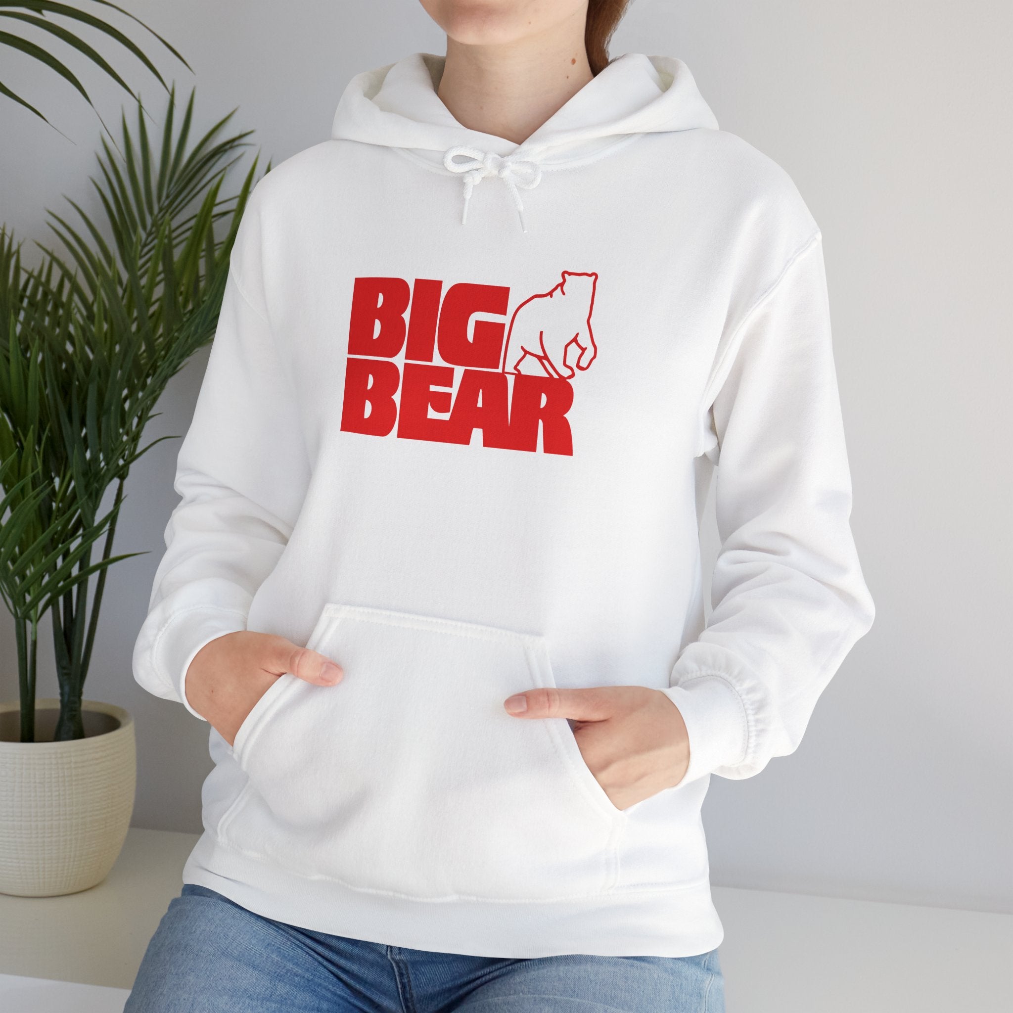 Big Bear Stores Hoodie / Sweatshirt