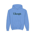 Ukrop's Super Markets Youth Hoodie / Sweatshirt