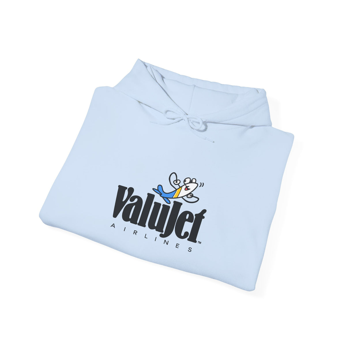ValuJet Airlines Hoodie / Sweatshirt