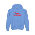 Allegheny Airlines Youth Hoodie / Sweatshirt
