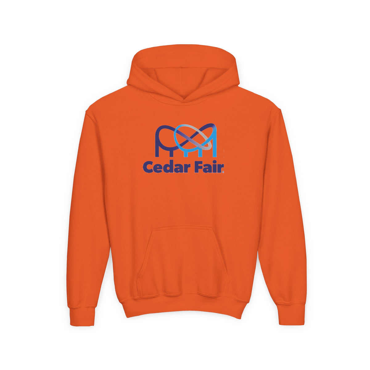 Cedar Fair Youth Hoodie / Sweatshirt