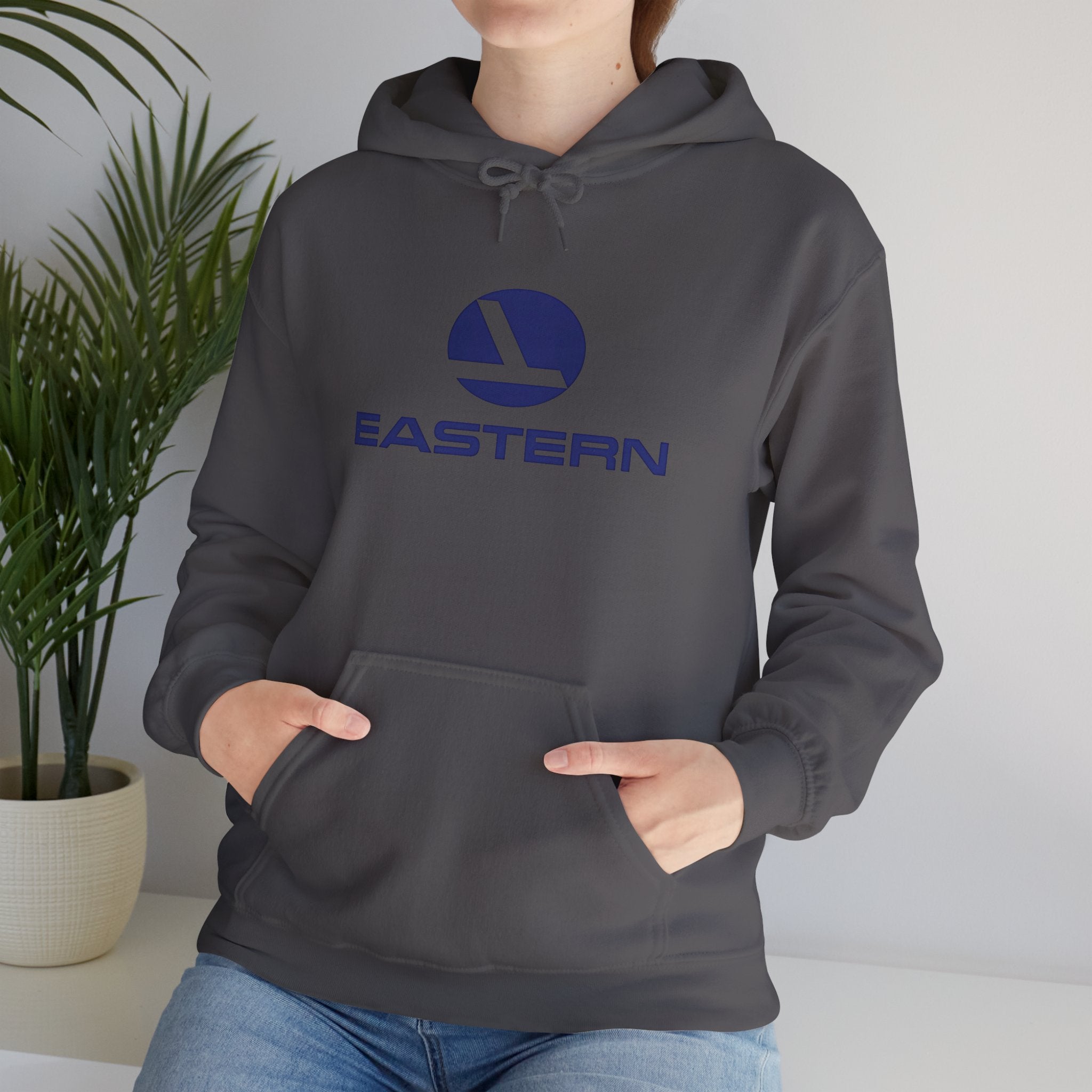 Eastern Air Lines Hoodie / Sweatshirt