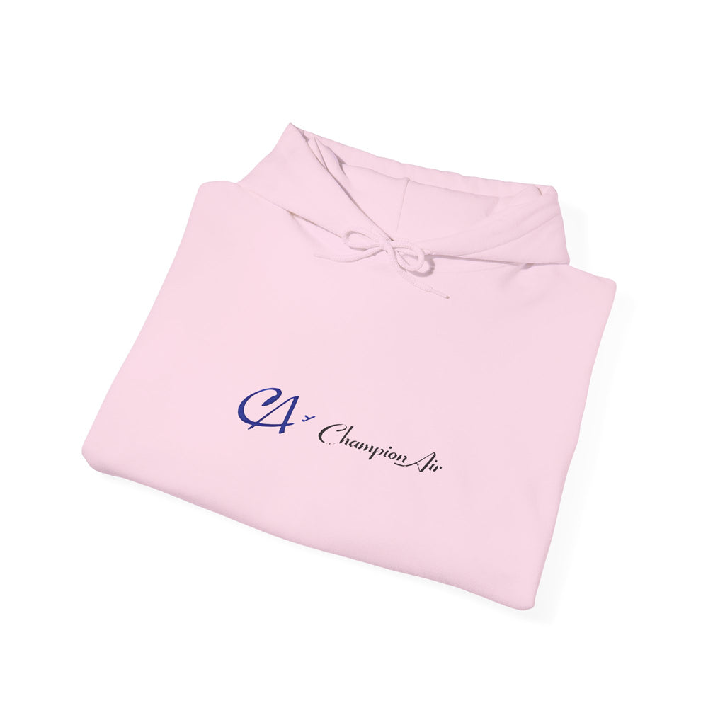 Champion Air Hoodie / Sweatshirt