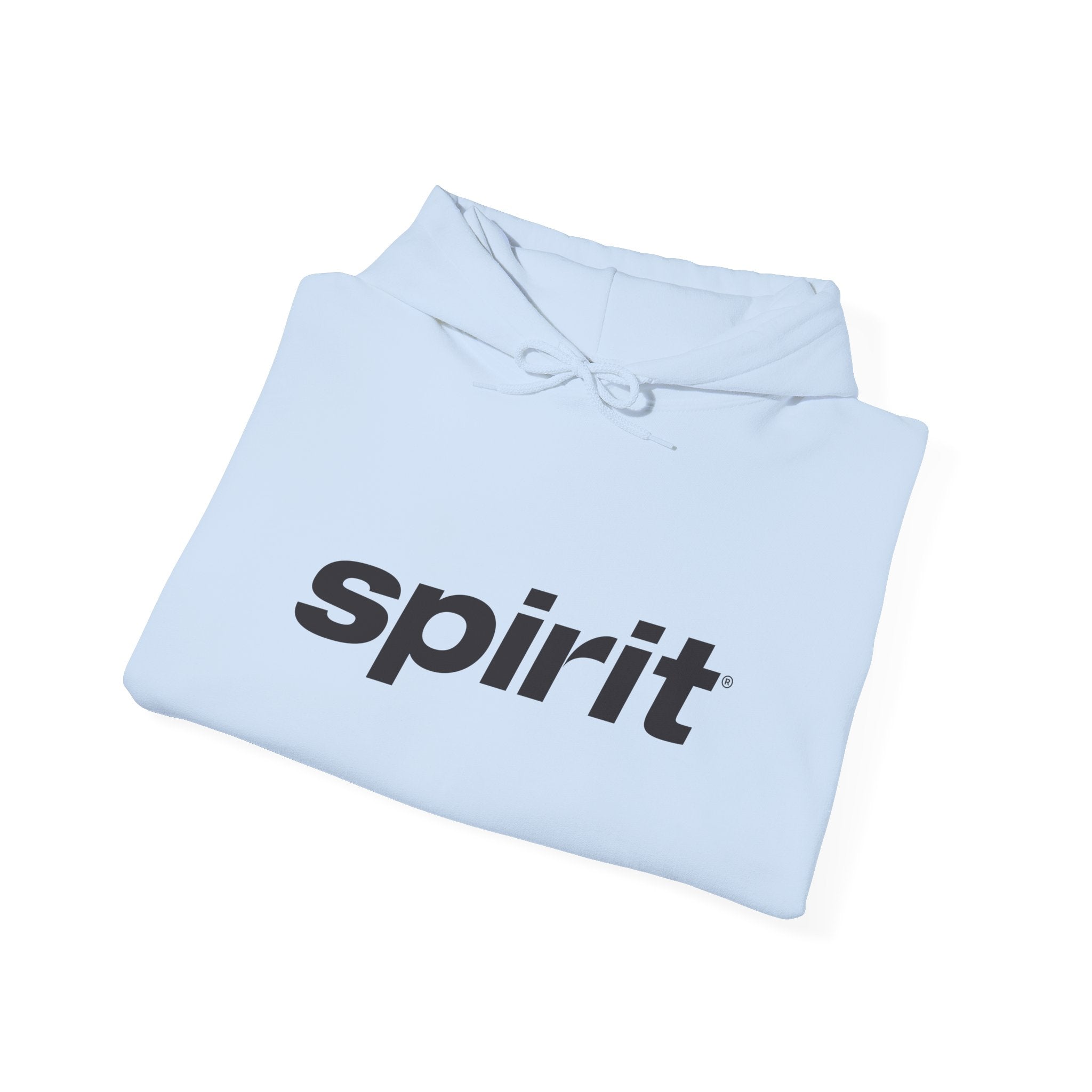 Spirit Airlines Hoodie / Sweatshirt