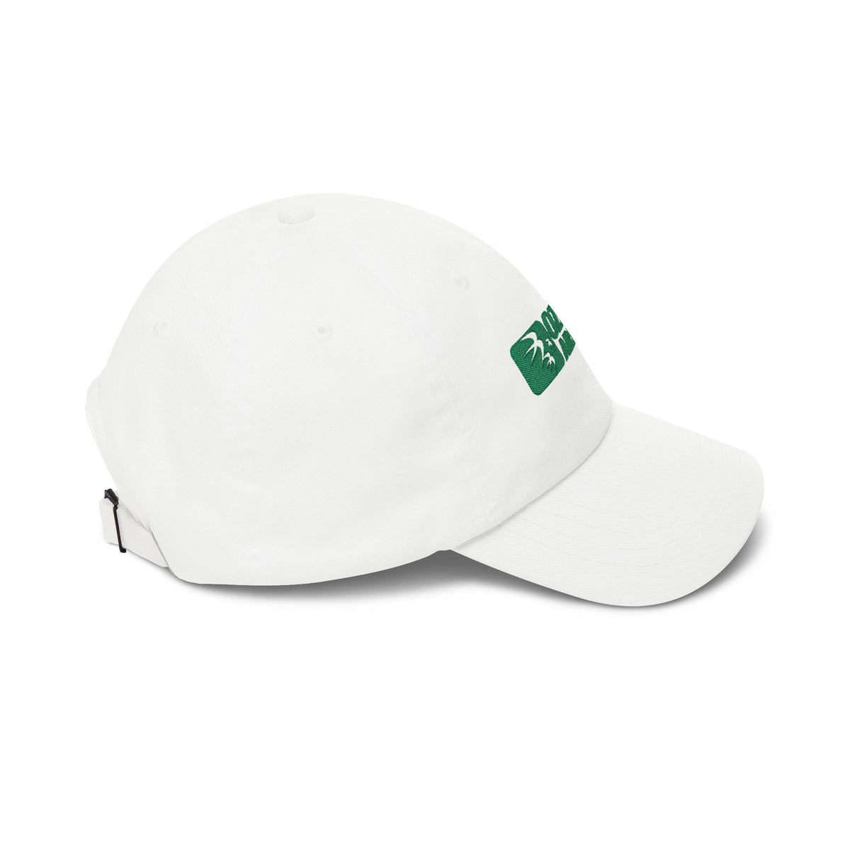Ozark Air Lines Embroidered Dad Cap Hat