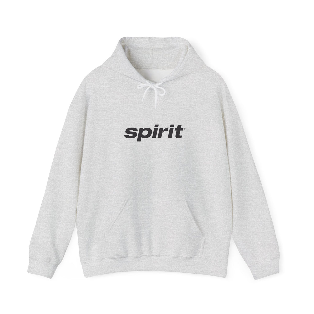 Spirit Airlines Hoodie / Sweatshirt