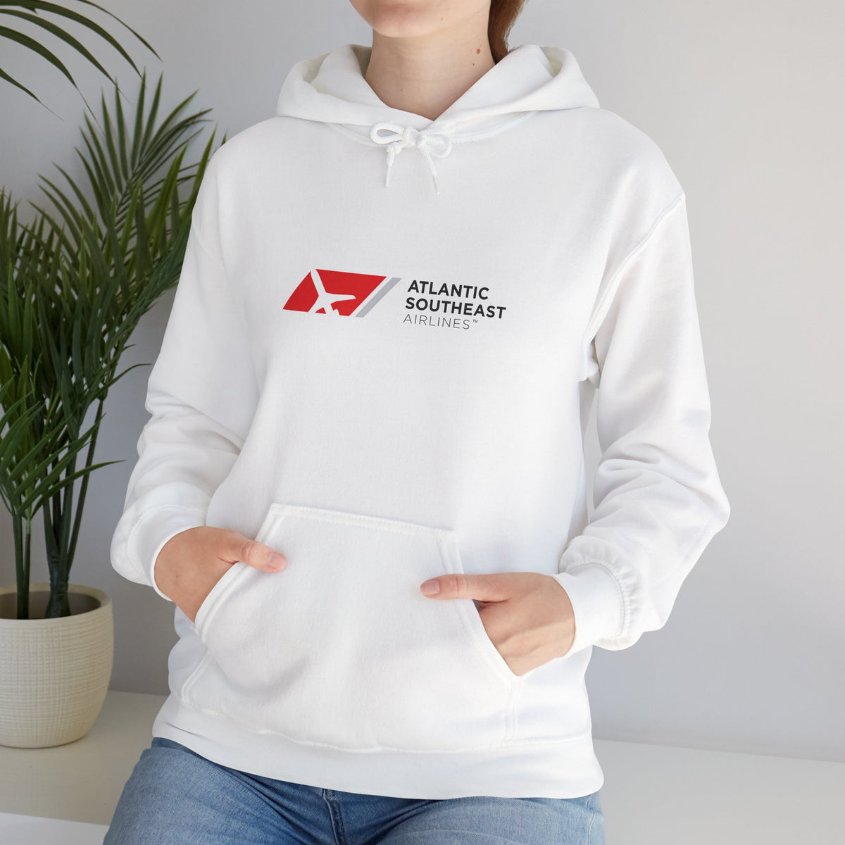 Atlantic Southeast Airlines Hoodie / Sweatshirt