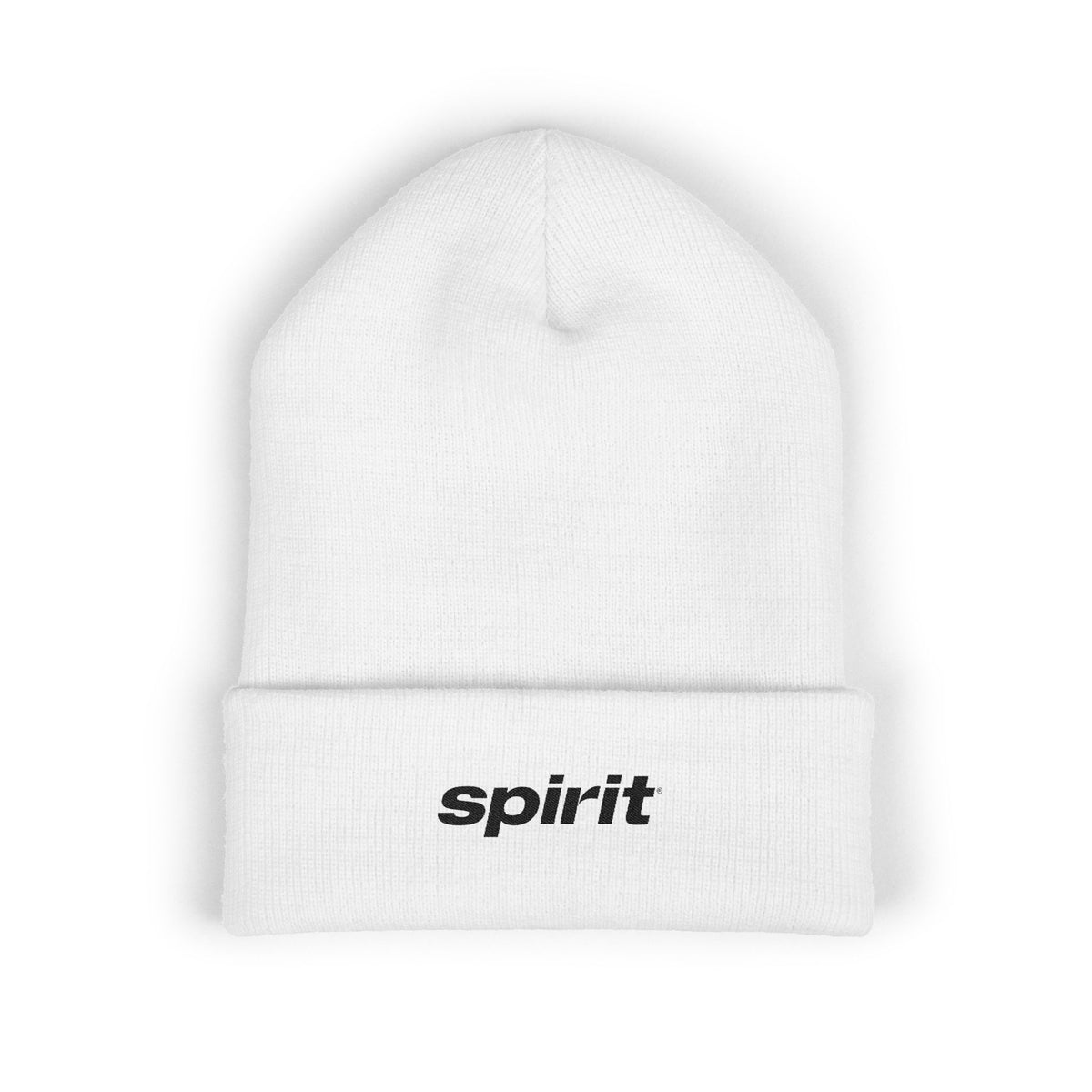 Spirit Airlines Cuffed Beanie