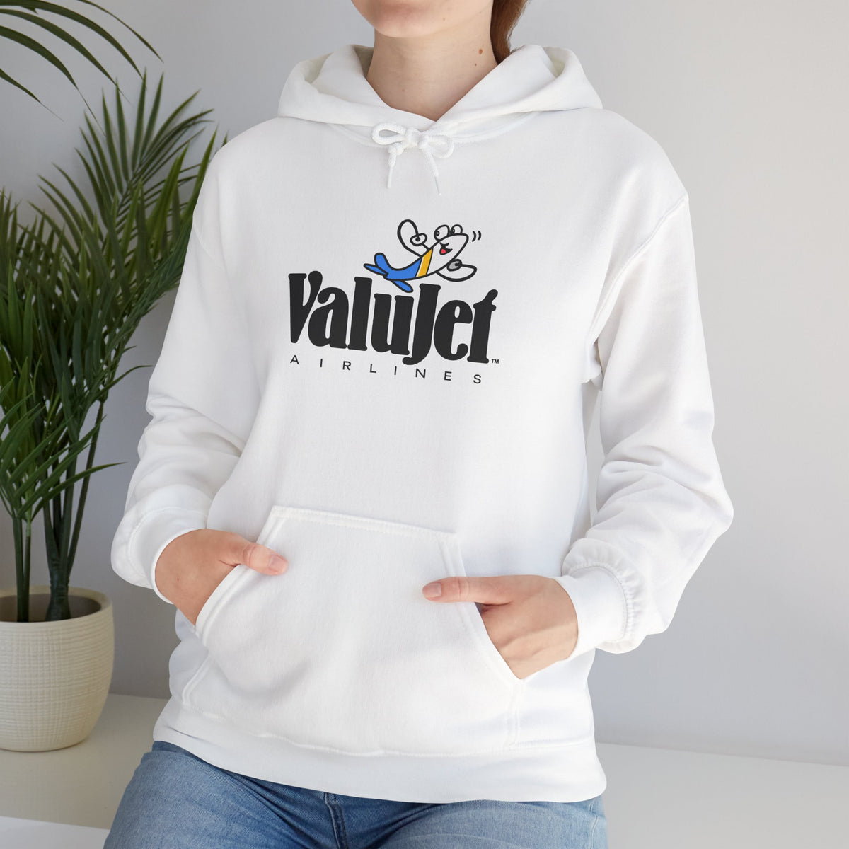 ValuJet Airlines Hoodie / Sweatshirt