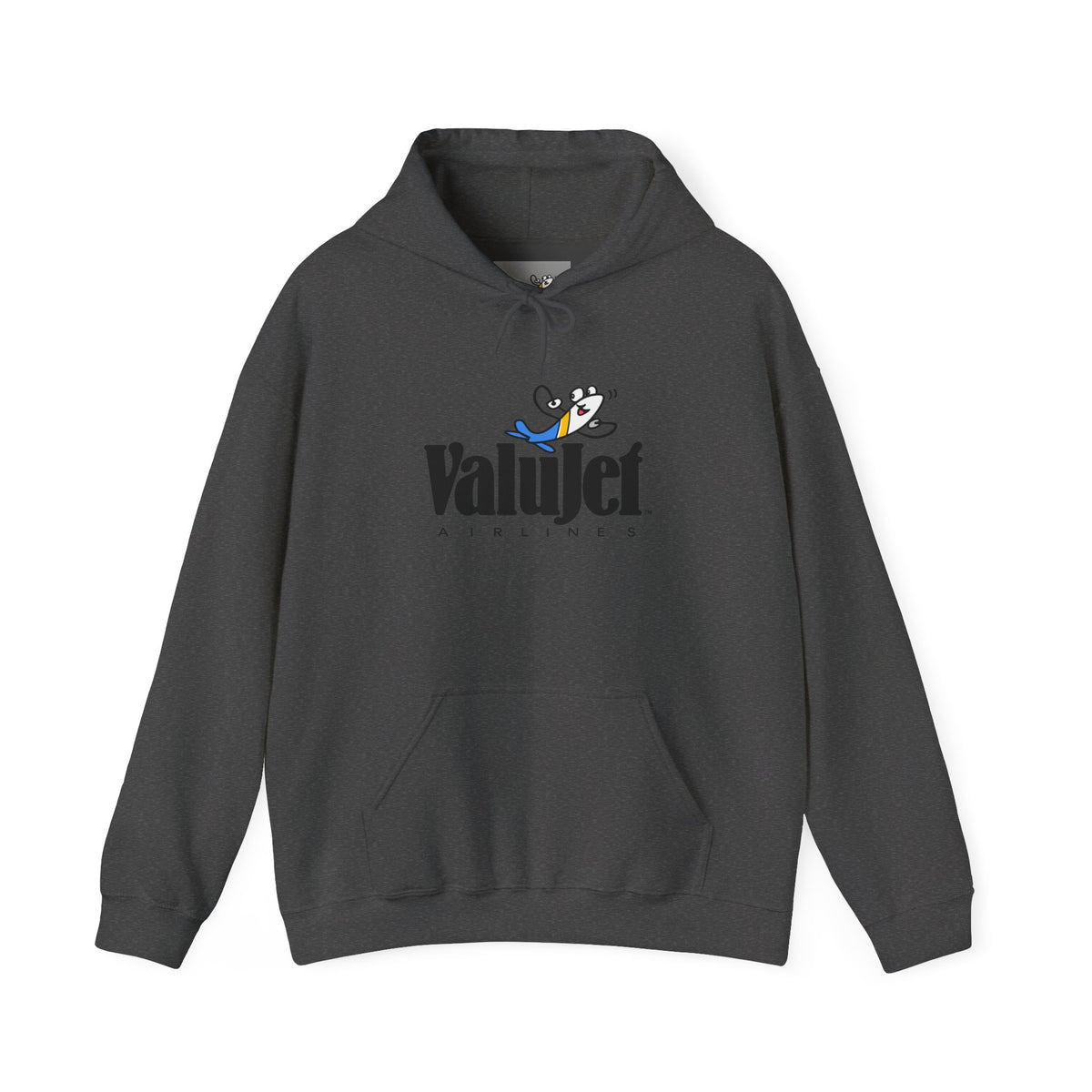 ValuJet Airlines Hoodie / Sweatshirt