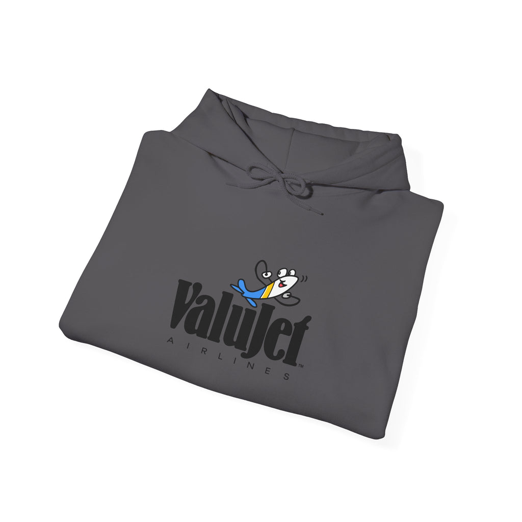 ValuJet Airlines Hoodie / Sweatshirt