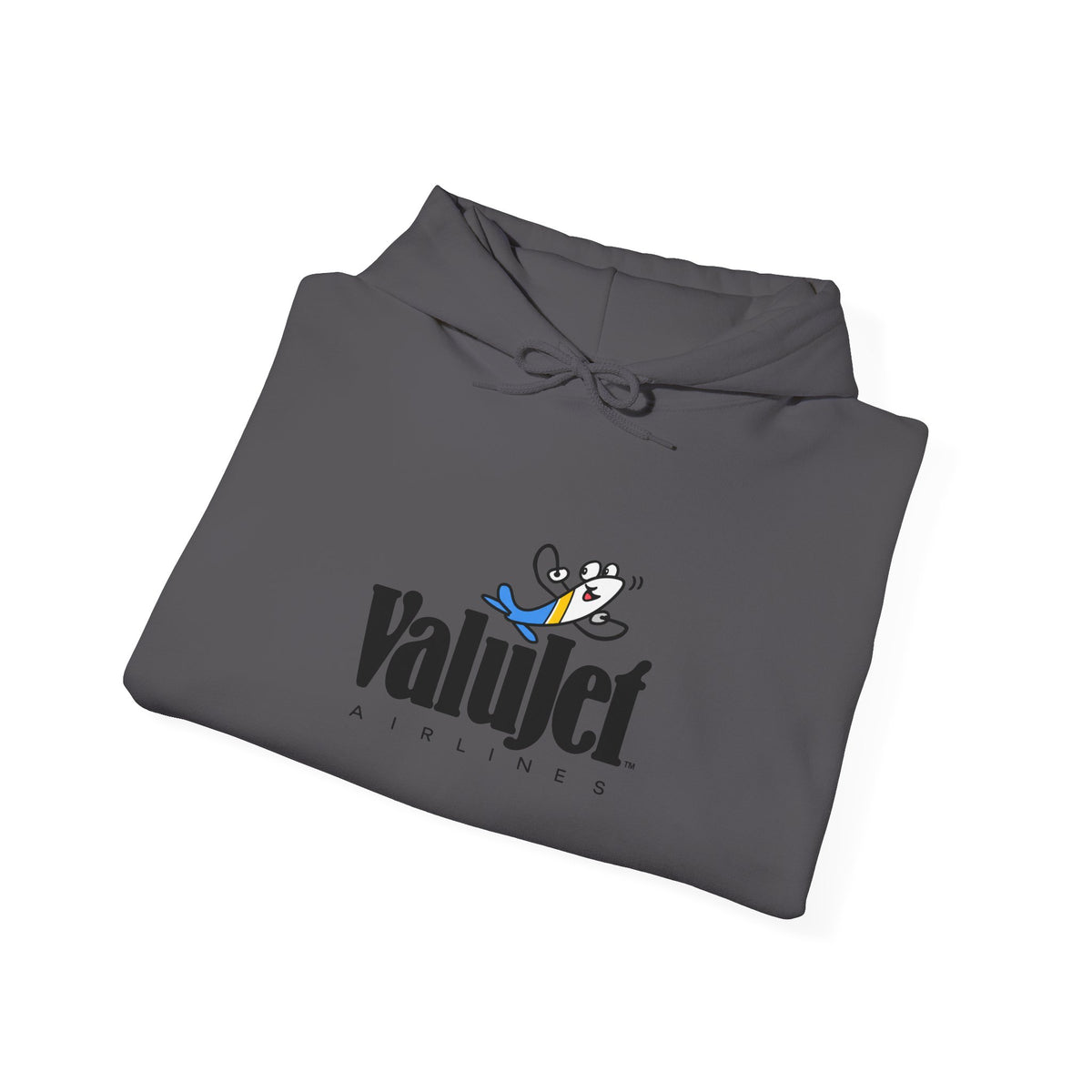 ValuJet Airlines Hoodie / Sweatshirt