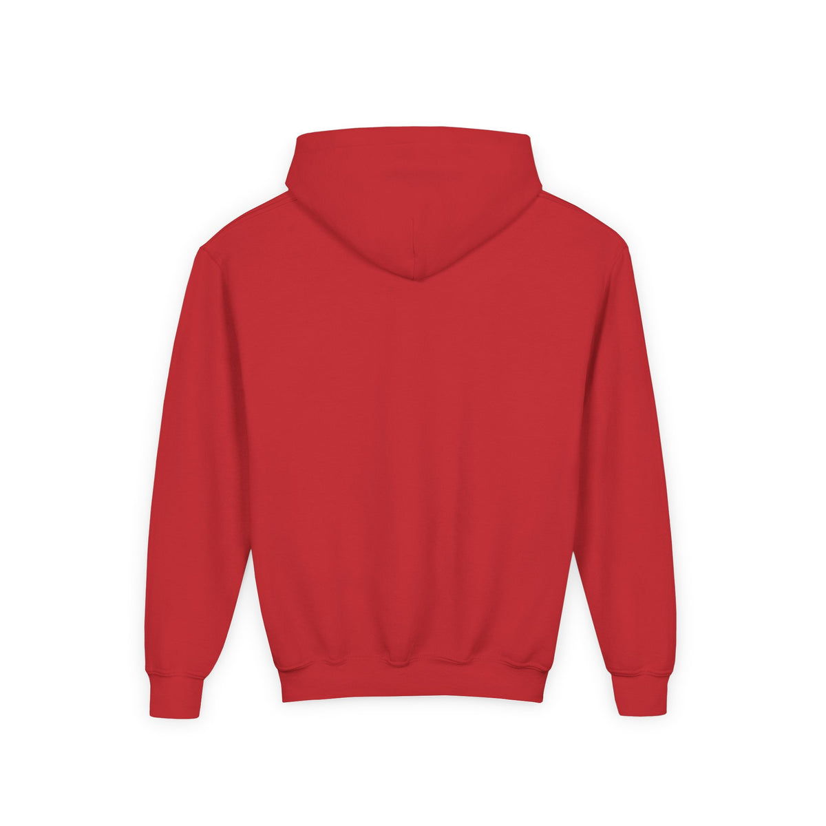Spirit Airlines Youth Hoodie / Swaetshirt