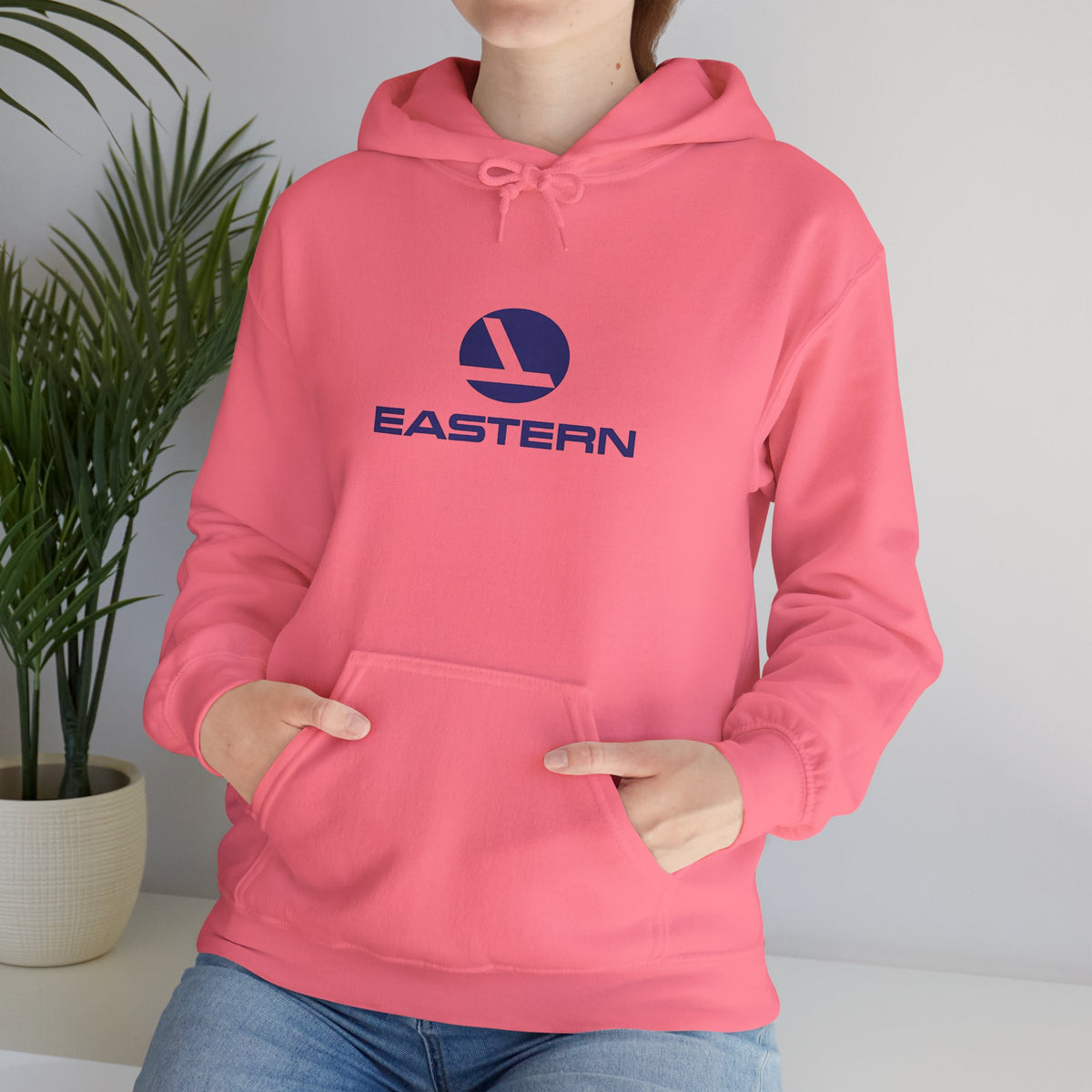 Eastern Air Lines Hoodie / Sweatshirt