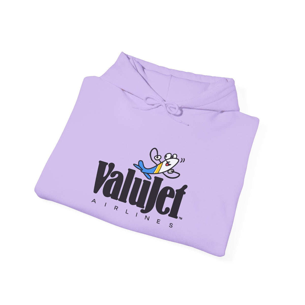 ValuJet Airlines Hoodie / Sweatshirt