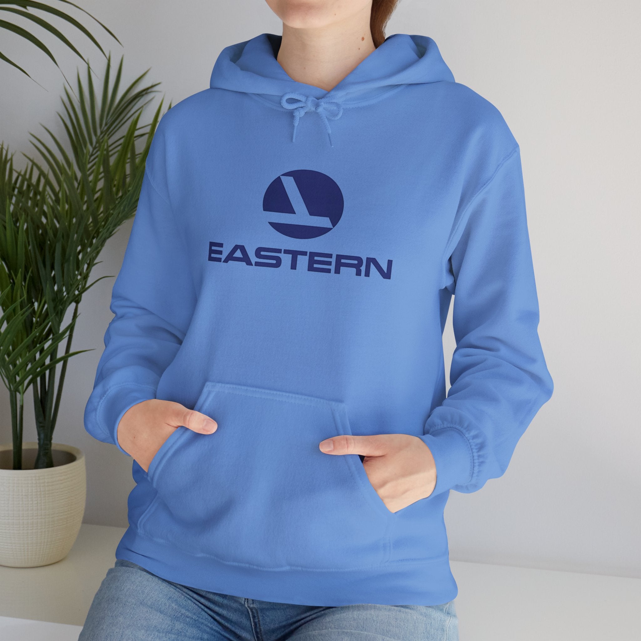 Eastern Air Lines Hoodie / Sweatshirt