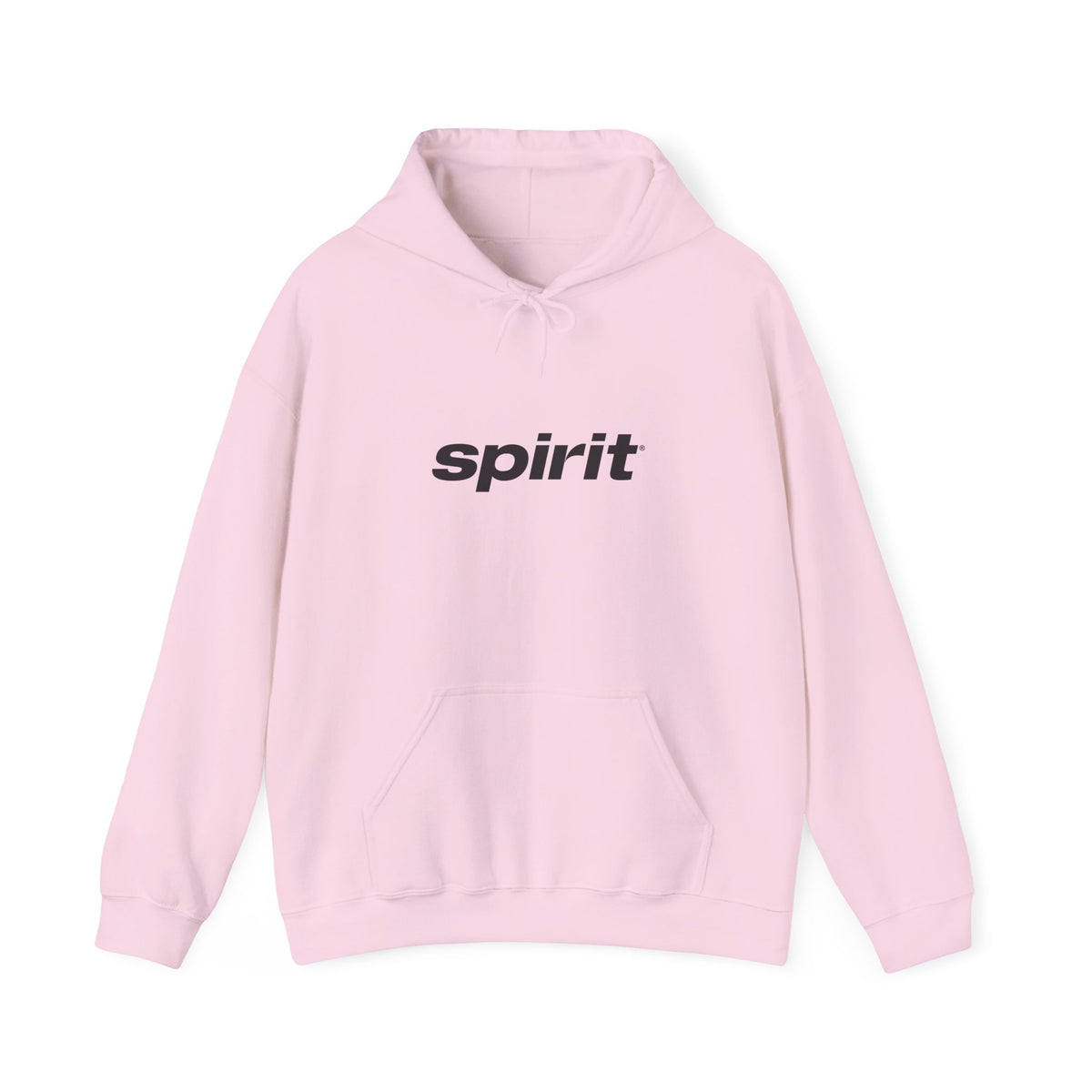 Spirit Airlines Hoodie / Sweatshirt