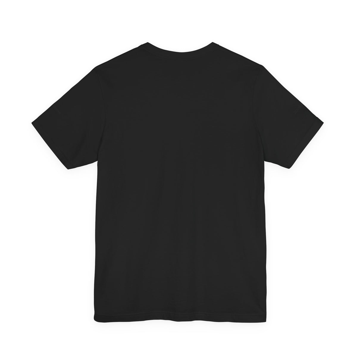 Bear Stearns T-Shirt 2008 Intern (Sleeve)