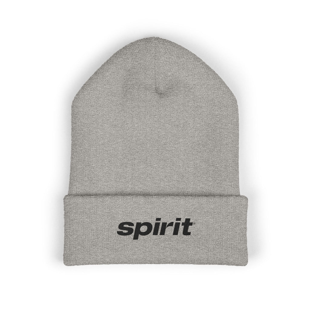 Spirit Airlines Cuffed Beanie