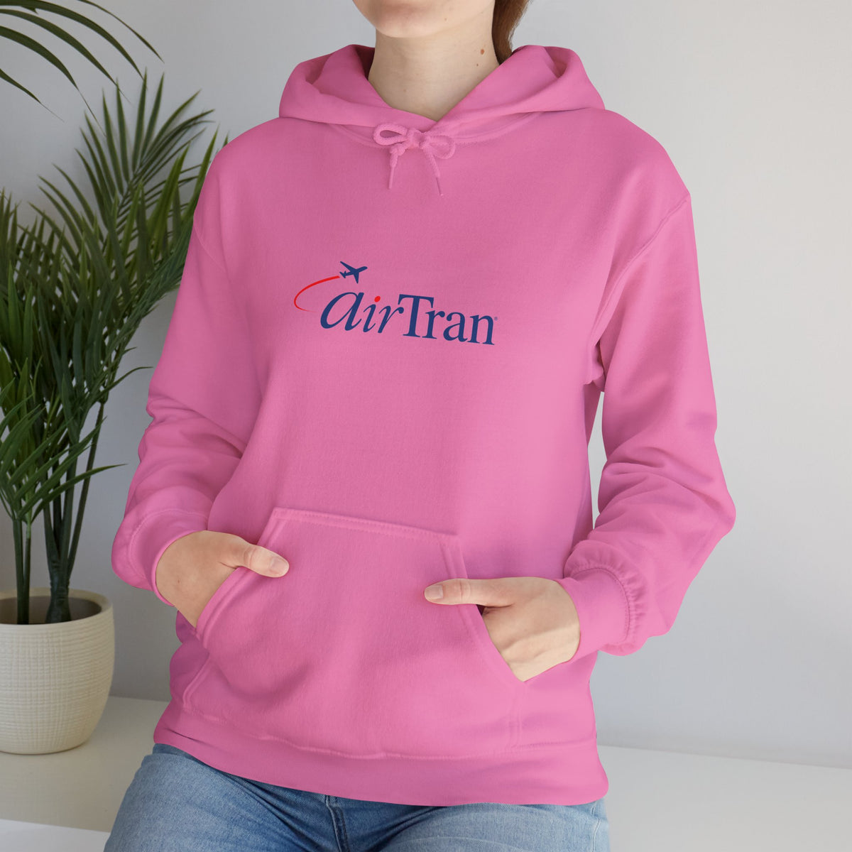 AirTran Airways Hoodie / Sweatshirt